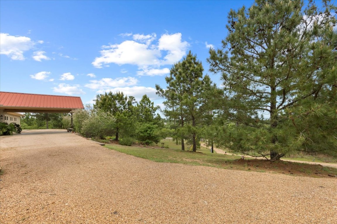 178 Pine Tree Loop Bastrop, TX 78602 - Photo 6 of 40