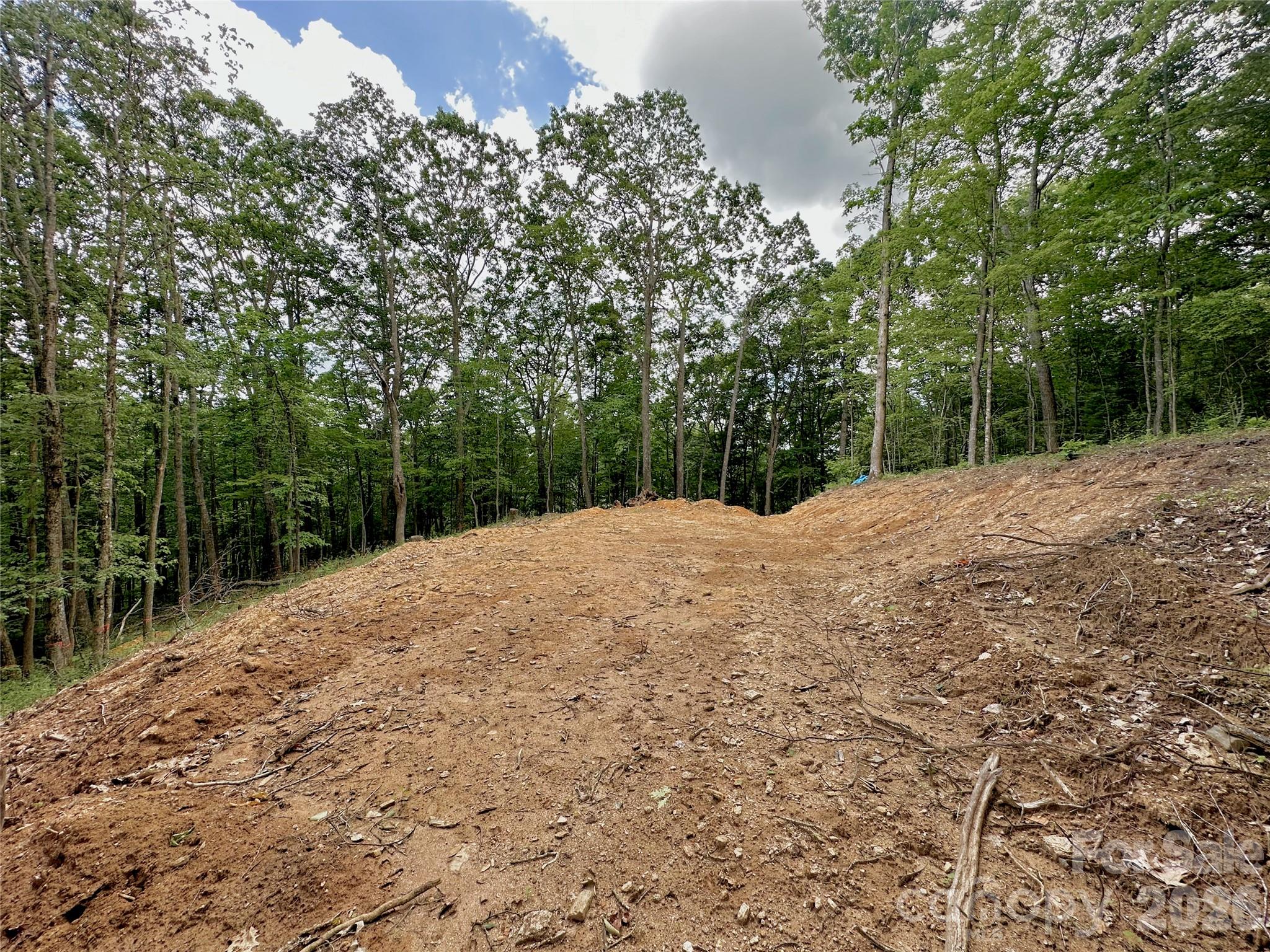 Tbd Old Chestnut Mountain Road Newland, NC 28657 - Photo 30 of 33