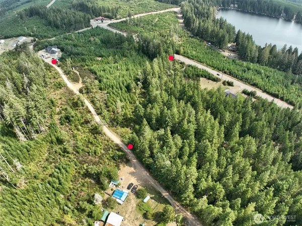 a view of a flower in a garden