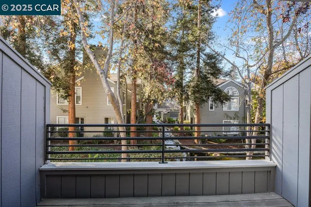 a view of street with large trees