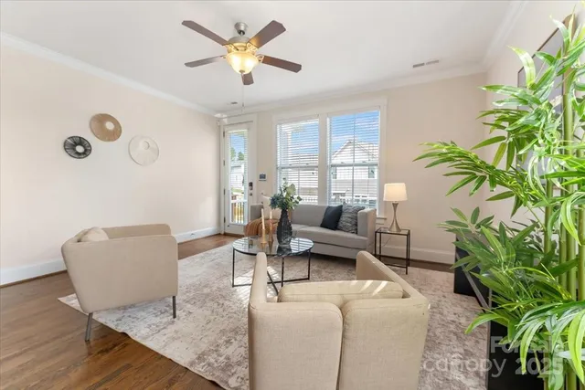 a living room with furniture and a potted plant