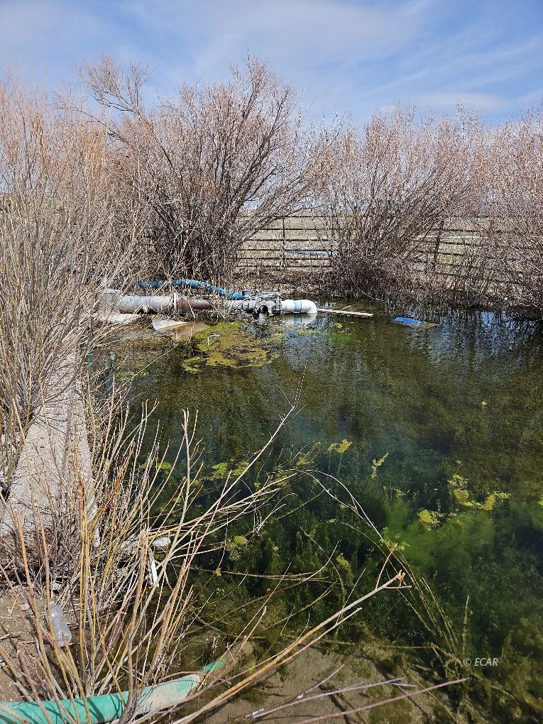 Cherry Creek Rd Wells Ely, NV 89301 - Photo 6 of 16