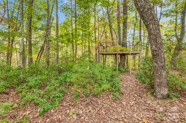 a view of bench in the garden