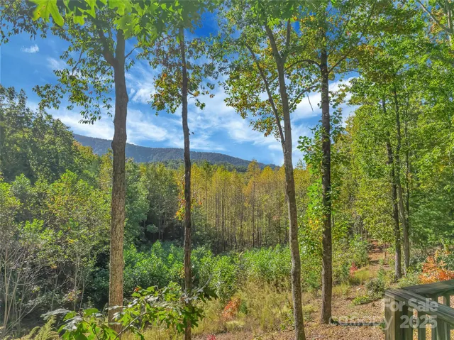 a view of a dry yard with mountains in the background