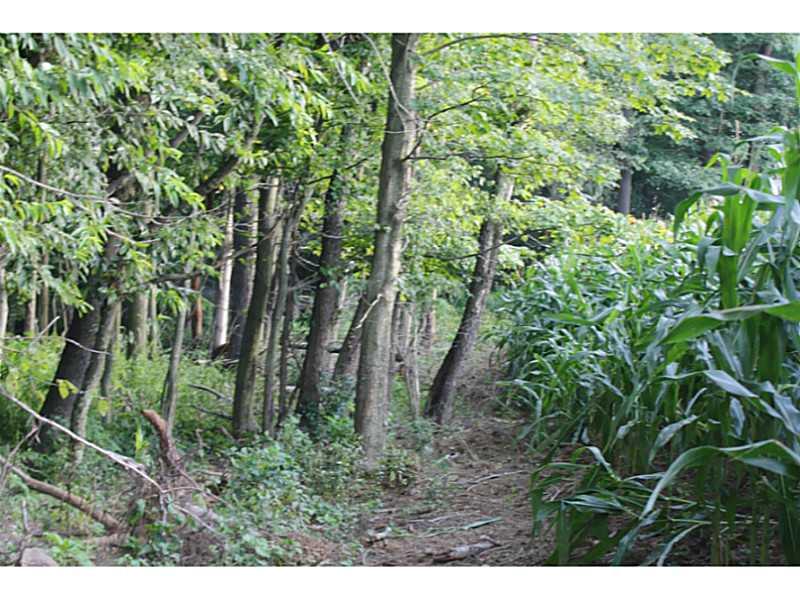 127 Union Church Road Mars, PA 16046 - Photo 3 of 5 Land. Neighboring cornfield near edge of property