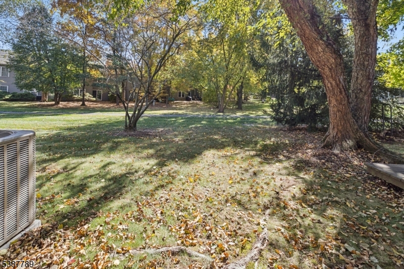 10 Brookline Court Princeton, NJ 08540 - Photo 28 of 31 a view of outdoor space with trees