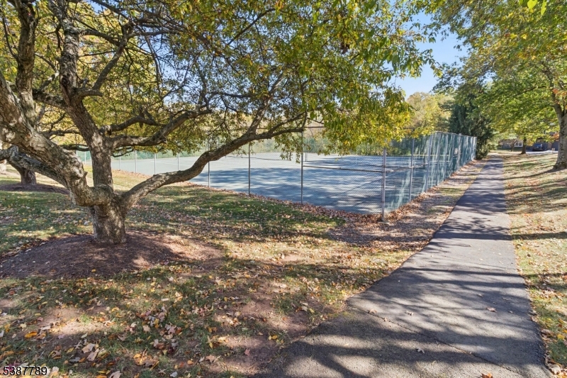 10 Brookline Court Princeton, NJ 08540 - Photo 30 of 31 a view of a yard with trees