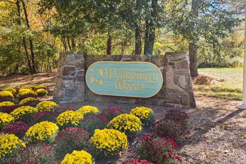 10 Brookline Court Princeton, NJ 08540 - Photo 31 of 31 a front view of a garden
