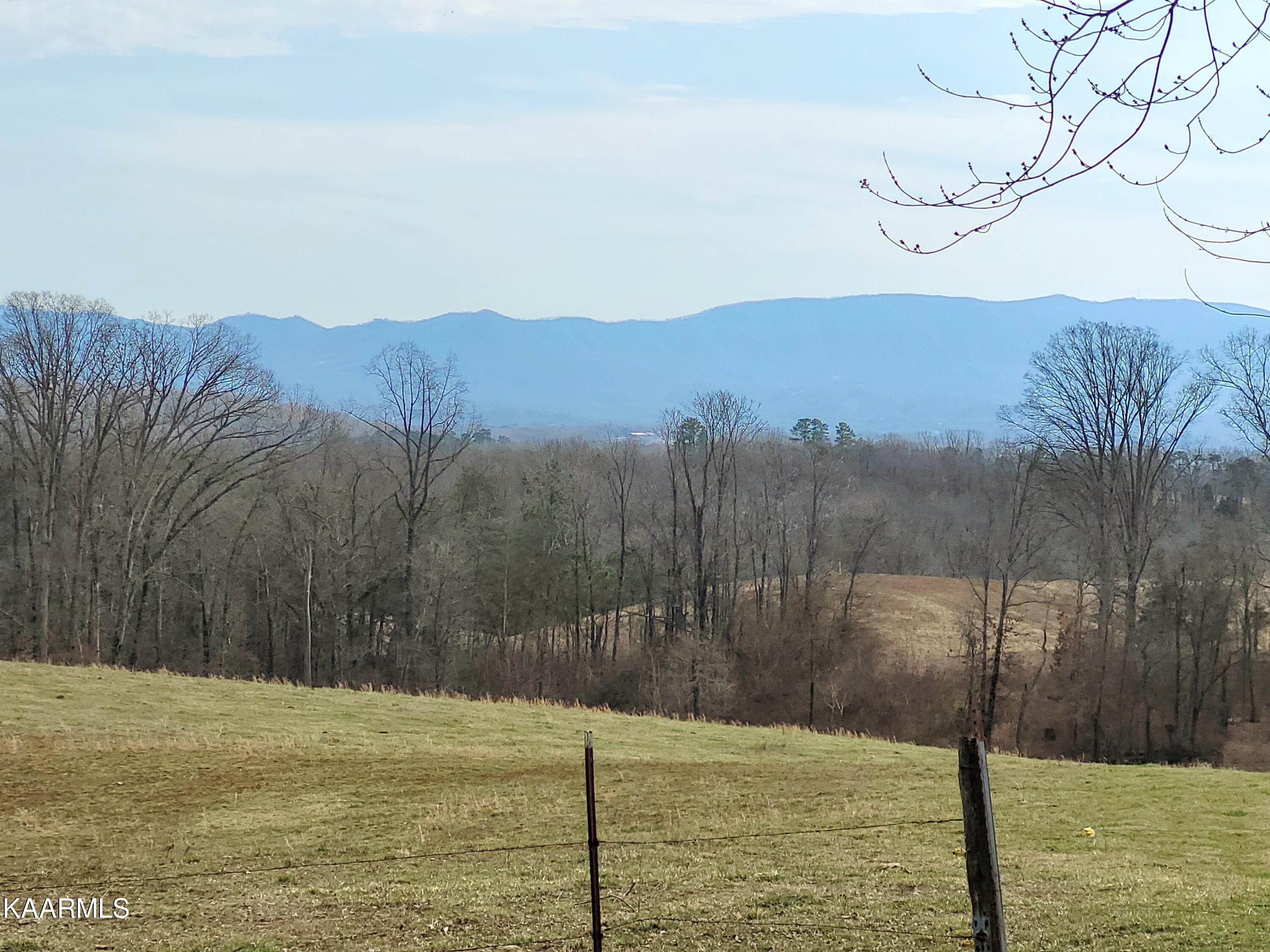 1097 Chestnut Grove Road Dandridge, TN 37725 - Photo 3 of 7 20230207_132656