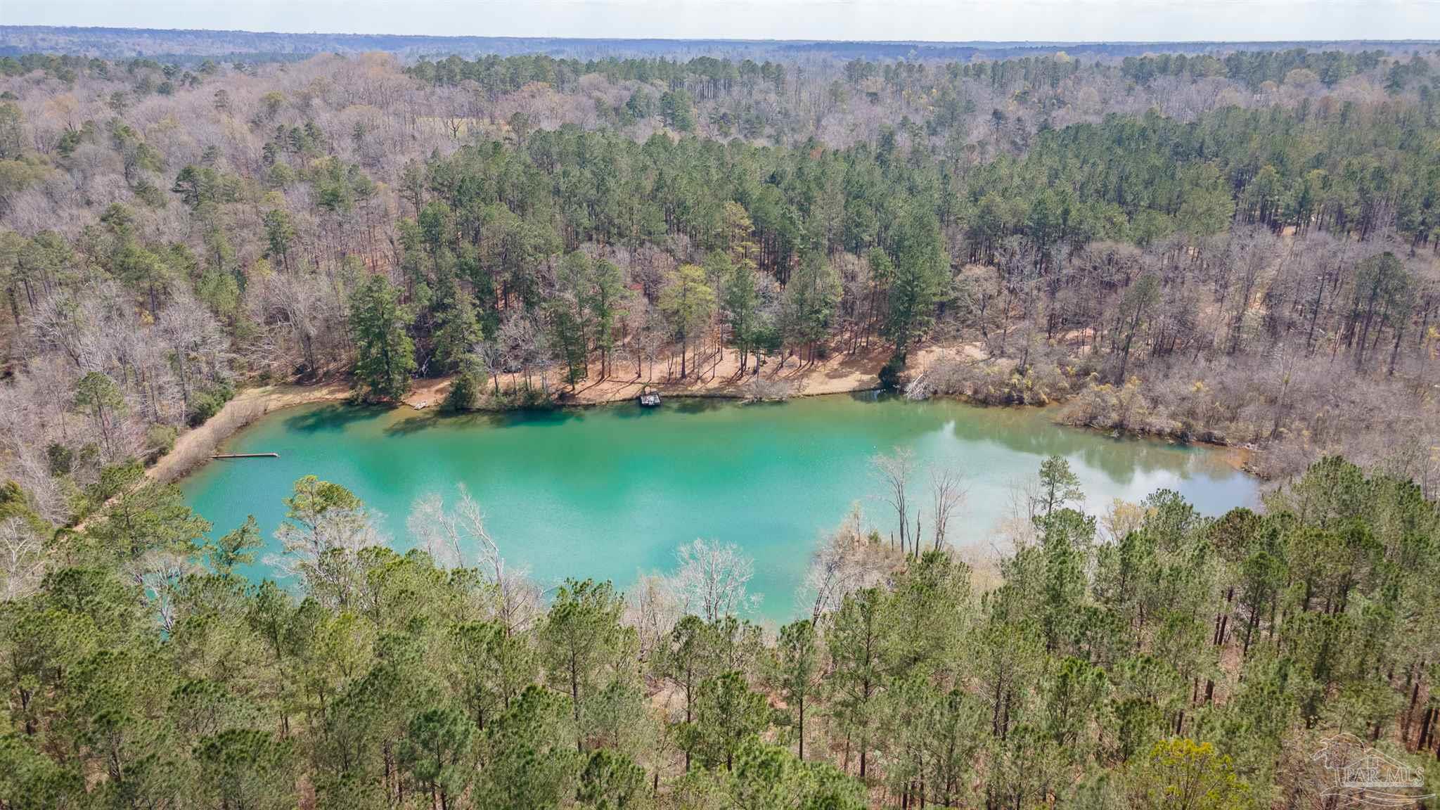 815 Thompson Road Monroeville, AL 36460 - Photo 27 of 44