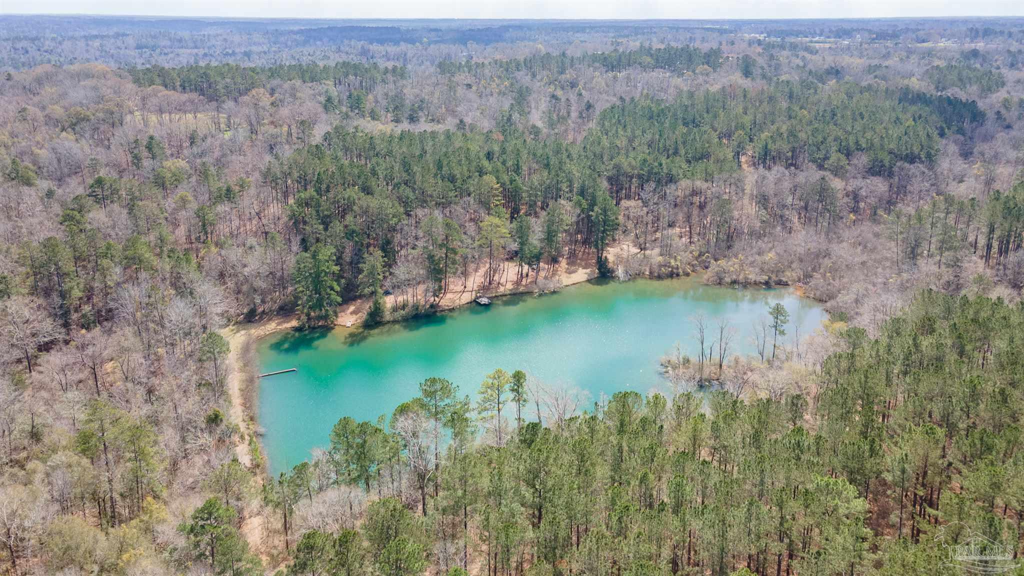 815 Thompson Road Monroeville, AL 36460 - Photo 28 of 44