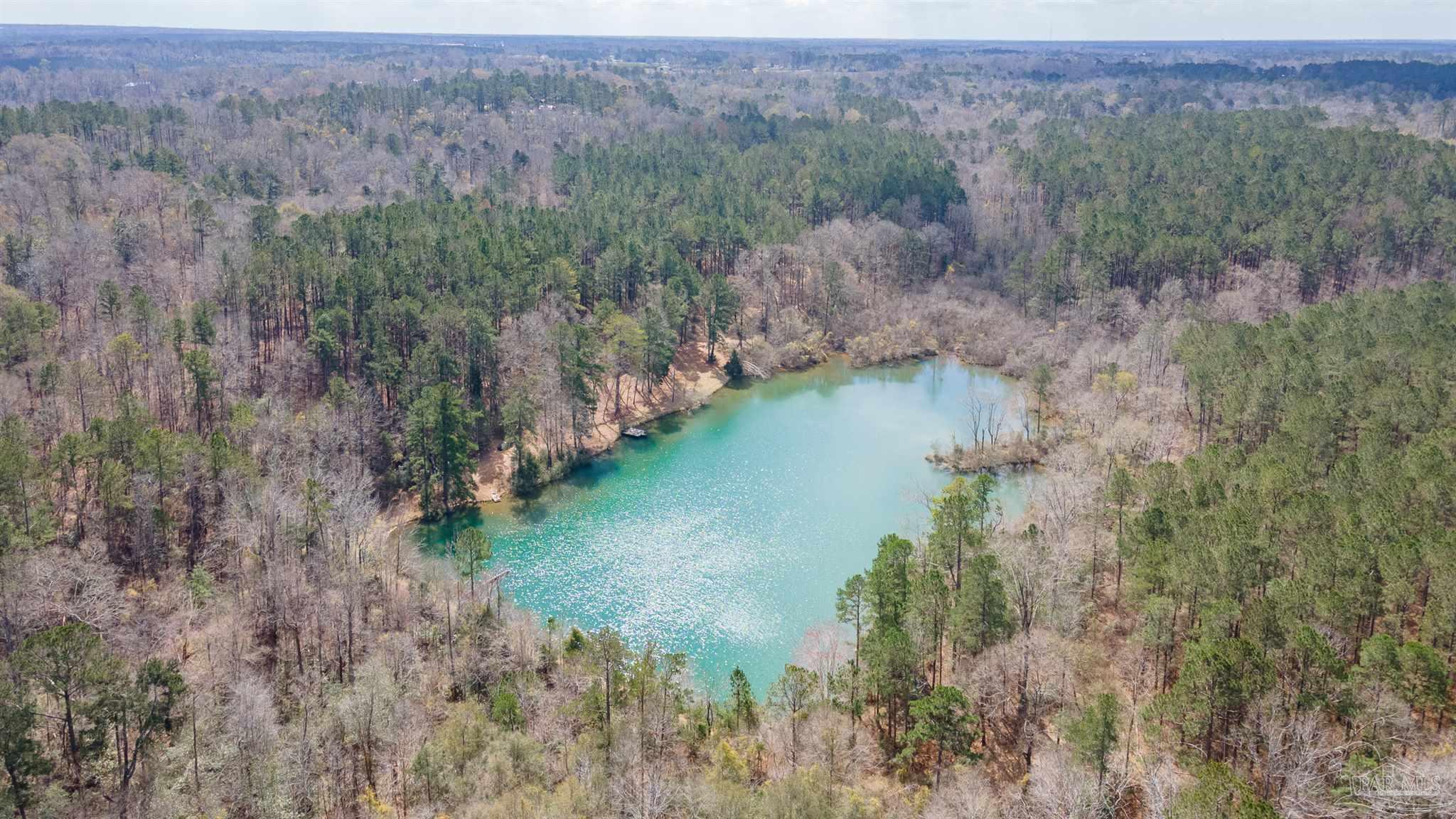 815 Thompson Road Monroeville, AL 36460 - Photo 29 of 44