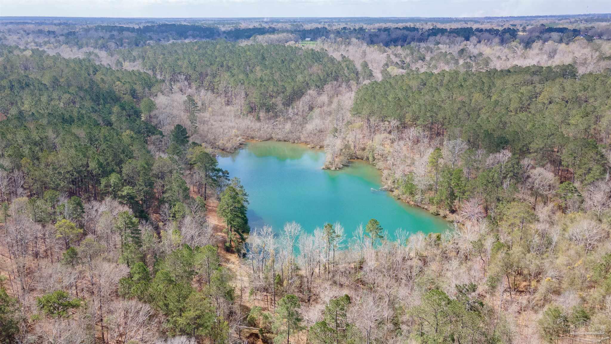 815 Thompson Road Monroeville, AL 36460 - Photo 31 of 44