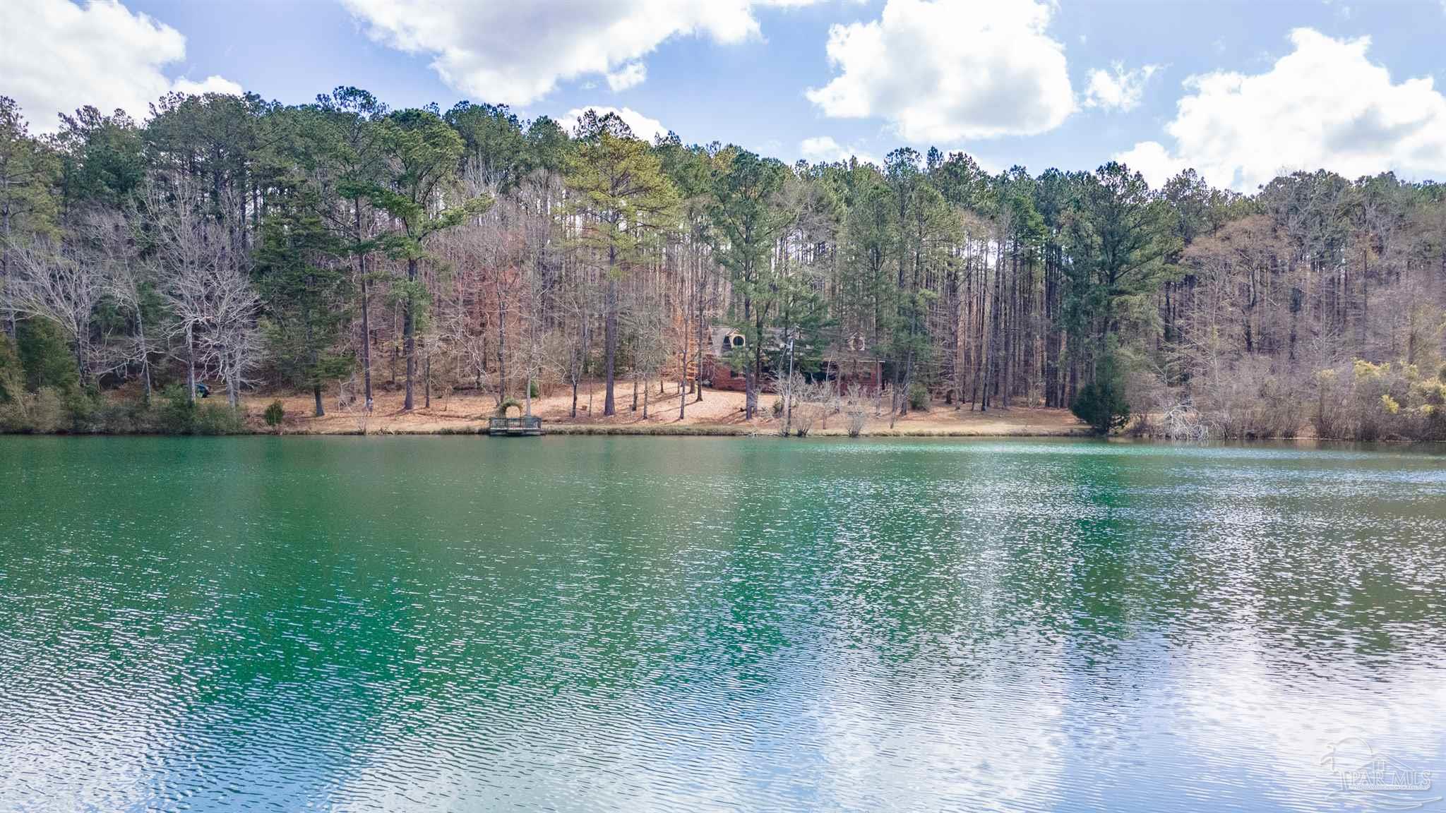 815 Thompson Road Monroeville, AL 36460 - Photo 40 of 44
