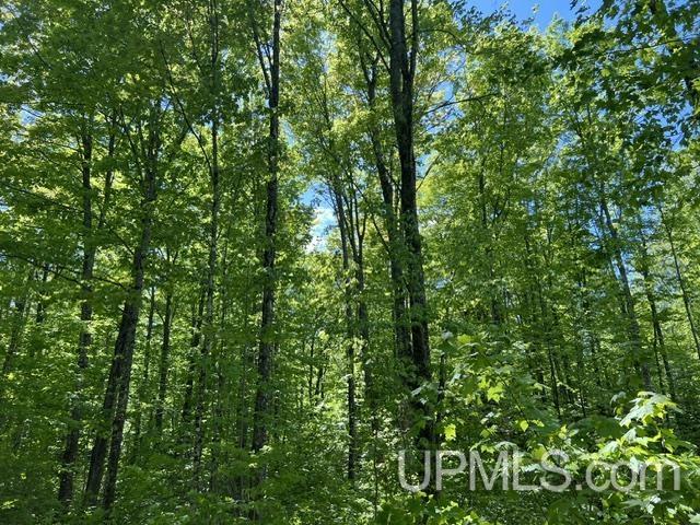 54335 Gay Road Lake Linden, MI 49945 - Photo 29 of 41