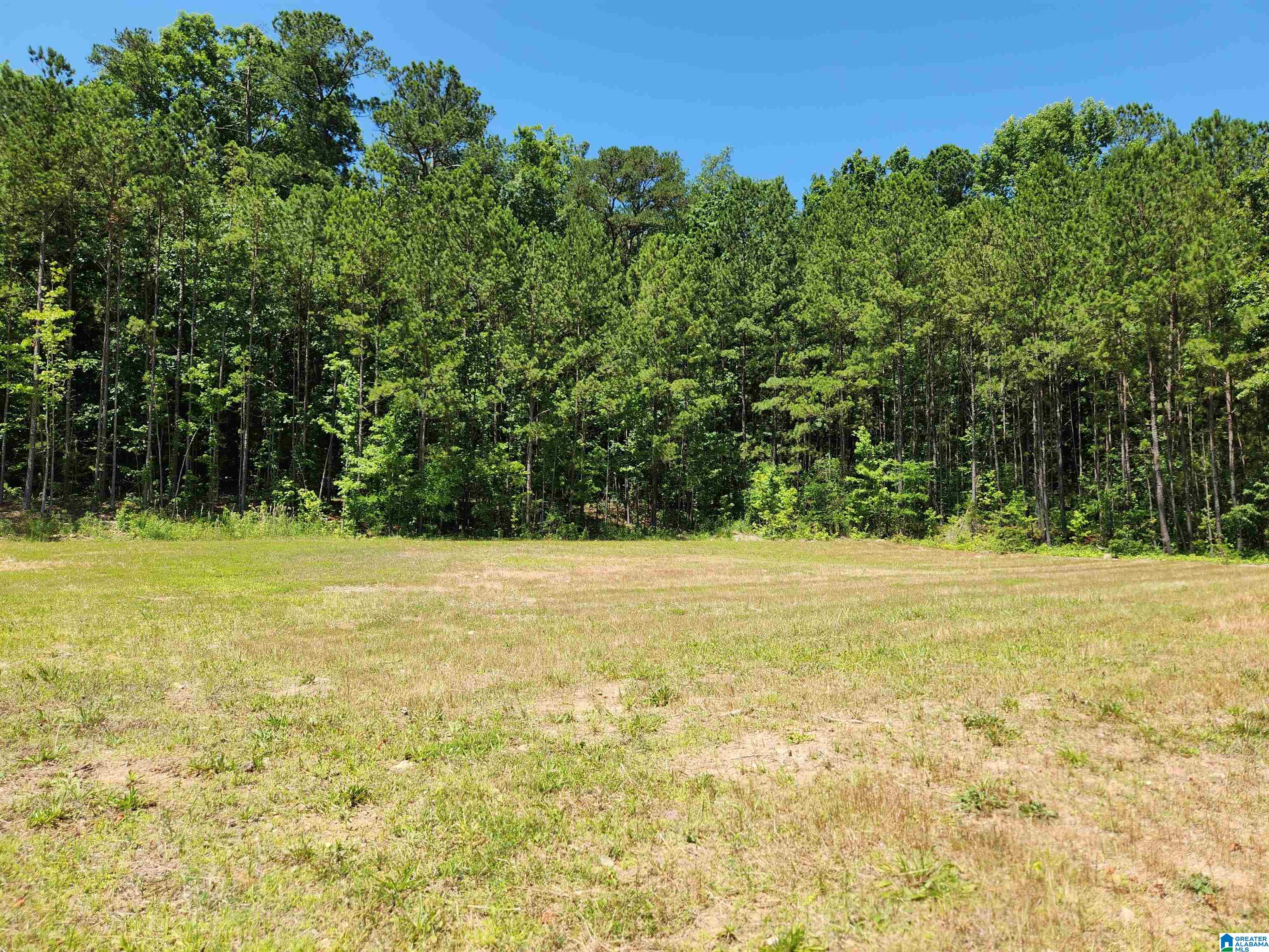 920 Shipley Road, Unit 3 Anniston, AL 36205 - Photo 1 of 9
