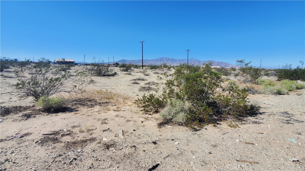 2537 Sea Flower Place Thermal, CA 92274 - Photo 5 of 5 a view of a dry yard with trees in the background