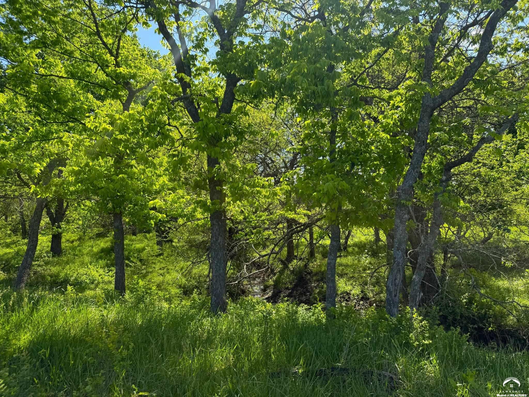 905 North 100th Road Baldwin City, KS 66006 - Photo 21 of 23