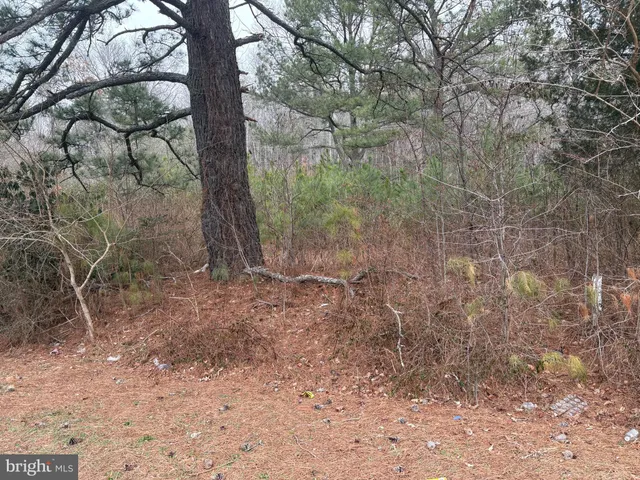 $45,000 | 3634 Ocean Gateway, East New Market, MD 21631