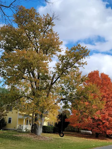 $1,300,000 | 6475 Olive Branch Road, Galien, MI 49113