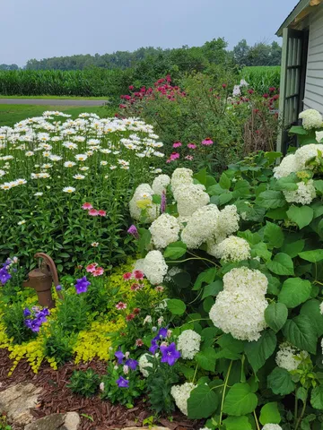 $1,300,000 | 6475 Olive Branch Road, Galien, MI 49113