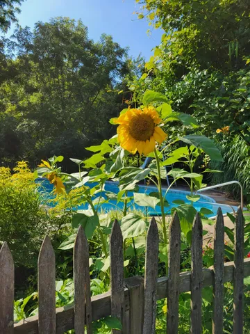 $1,300,000 | 6475 Olive Branch Road, Galien, MI 49113