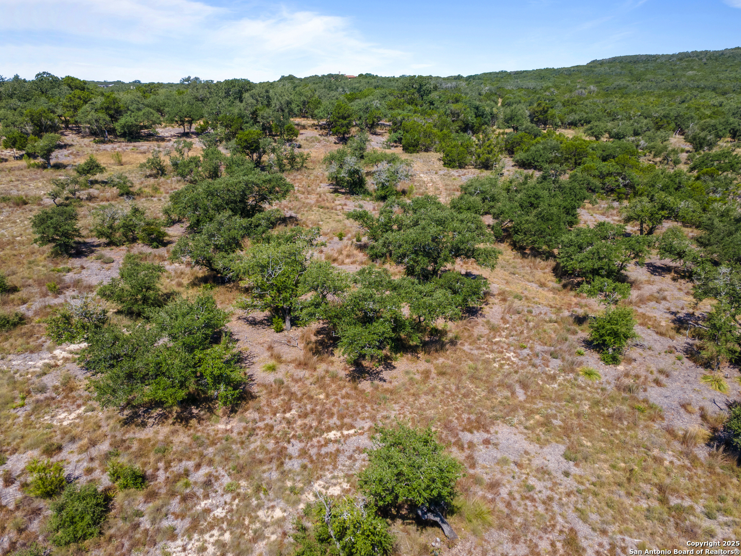 1124 Adyson Rdg Drive Bulverde, TX 78163 - Photo 11 of 20