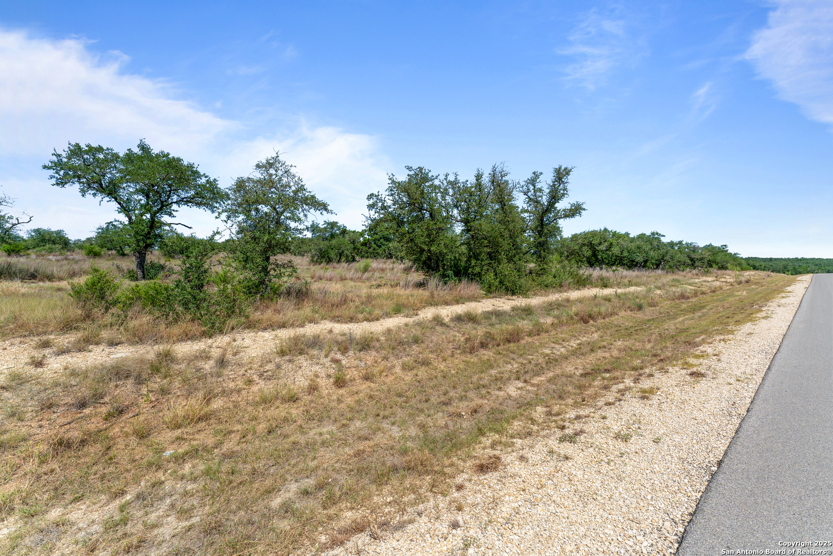 1124 Adyson Rdg Drive Bulverde, TX 78163 - Photo 10 of 20