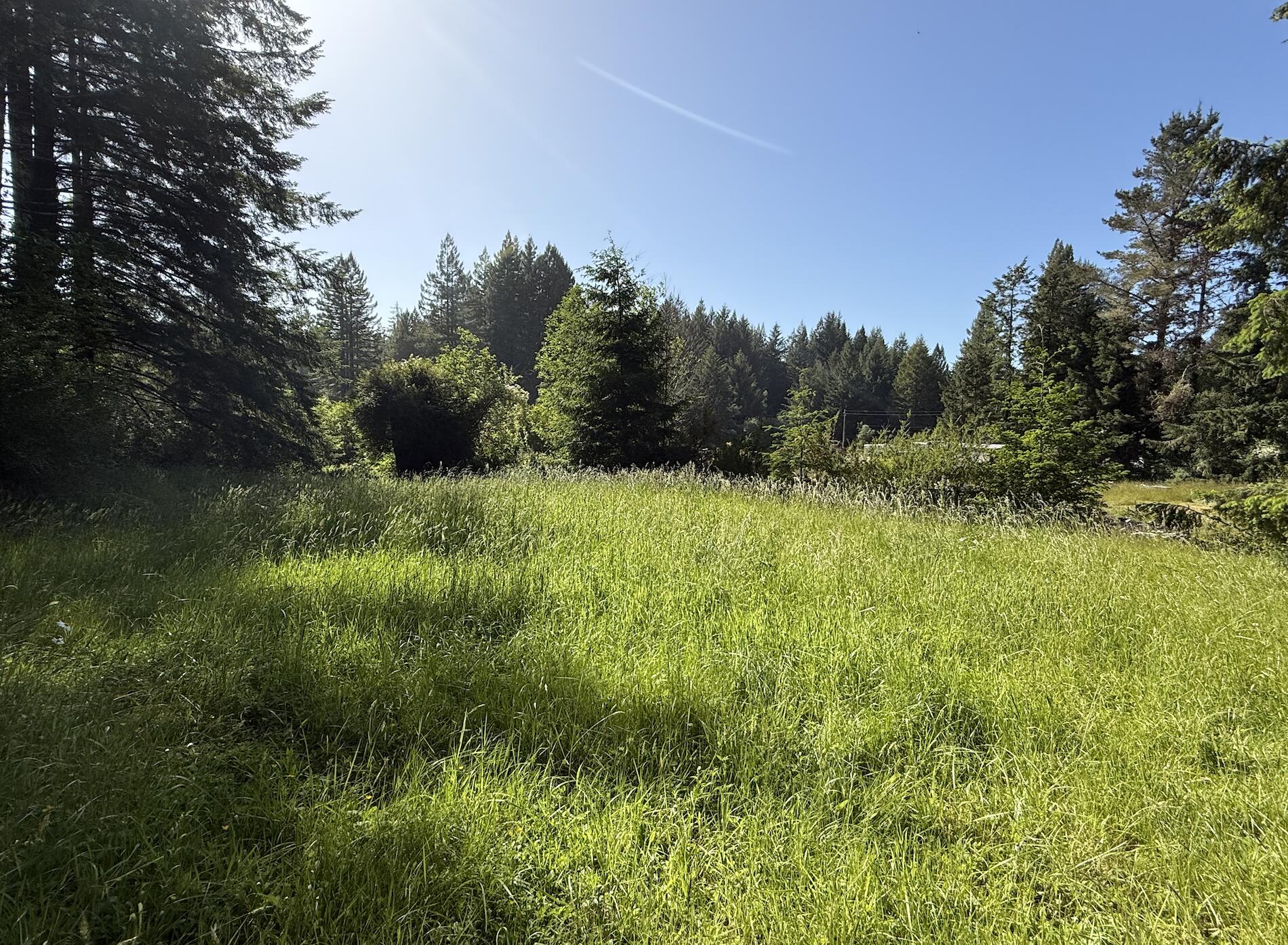 110 Pinnacle Lane Fieldbrook, CA 95519 - Photo 7 of 18