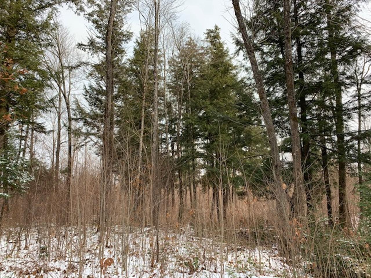 2 Beaver Lodge Road Mercer, WI 54547 - Photo 2 of 8 Gallery Image 2