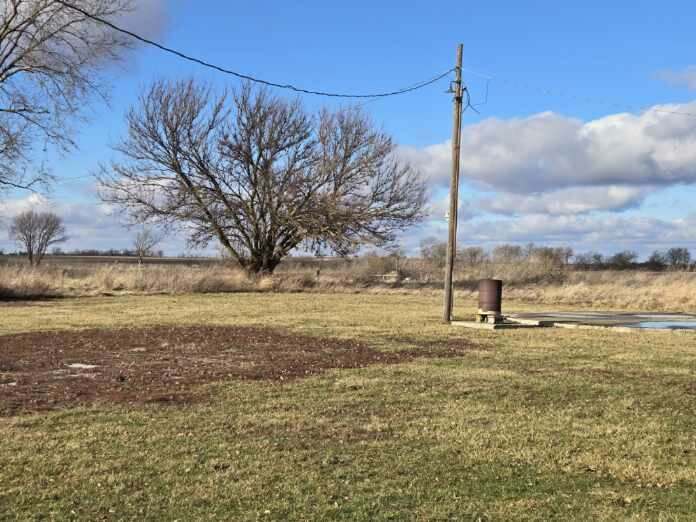 120 East 700 North Road Buckley, IL 60918 - Photo 17 of 21 a view of a yard with a tree