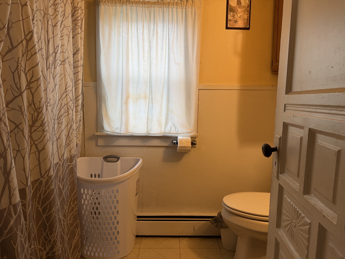 120 East 700 North Road Buckley, IL 60918 - Photo 8 of 21 a bathroom with a sink a toilet and shower