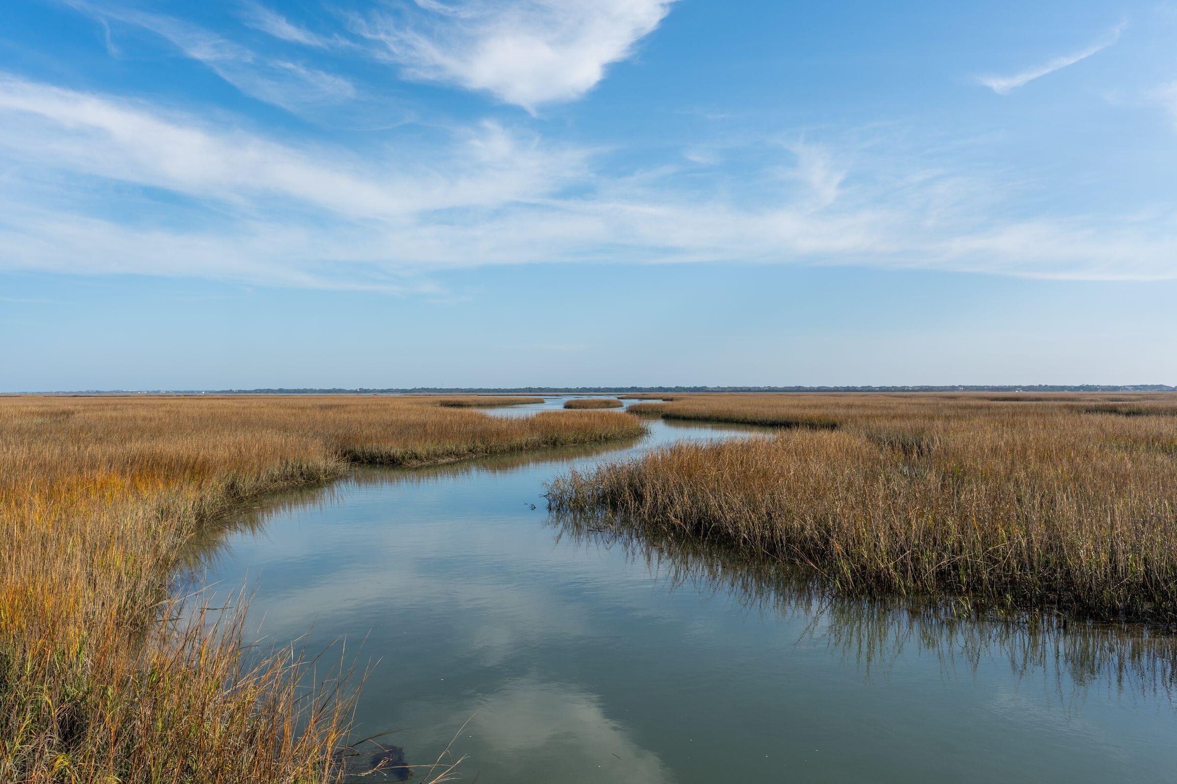 1472 Red Tide Road Mount Pleasant, SC 29466 - Photo 54 of 65 1472RedTideRd--061