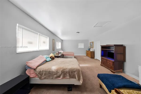 a view of a garden with plants