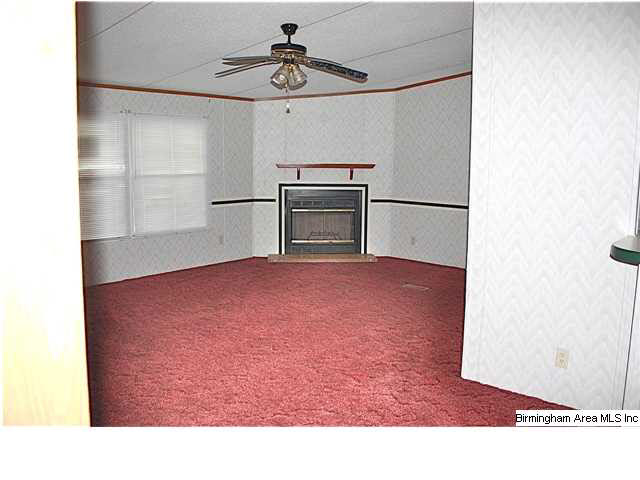 1215 Reid Road Trafford, AL 35172 - Photo 3 of 22