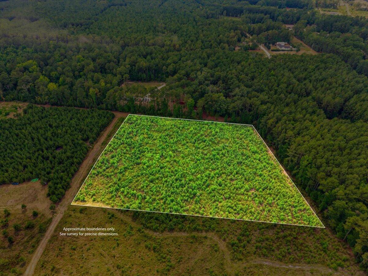 0 Adams Road Cottageville, SC 29435 - Photo 1 of 15 15-Lot line