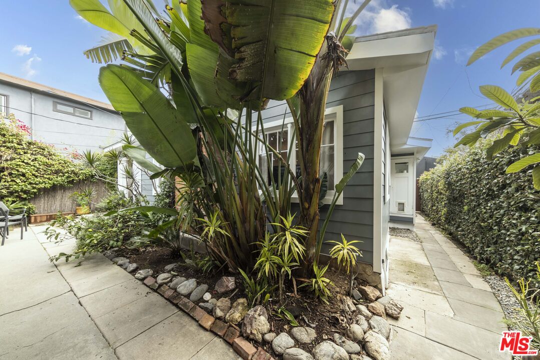716 Sunset Avenue Venice, CA 90291 - Photo 10 of 13 a view of a plant