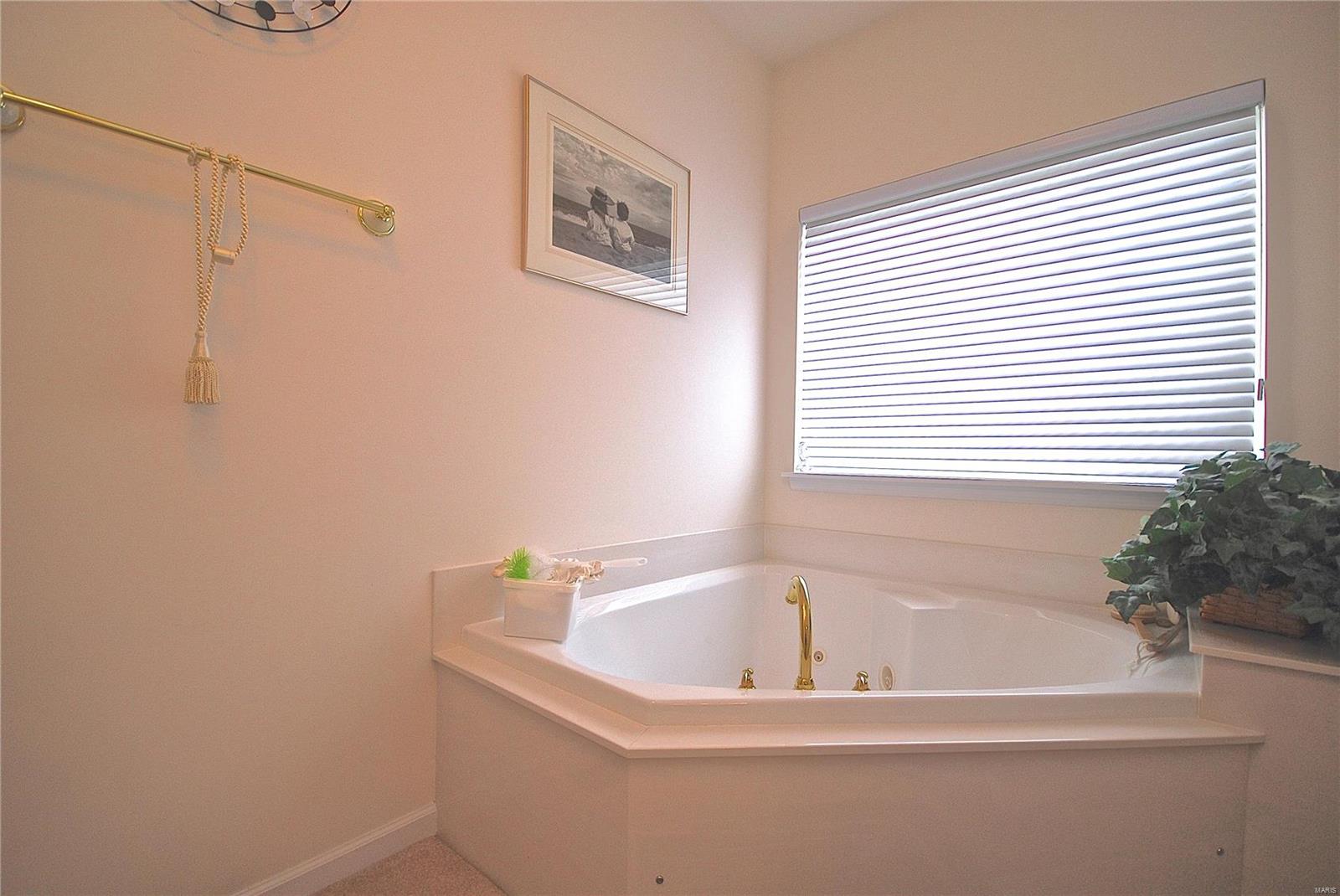 725 Castle Ridge Drive Ballwin, MO 63021 - Photo 21 of 30 Gallery Image 21