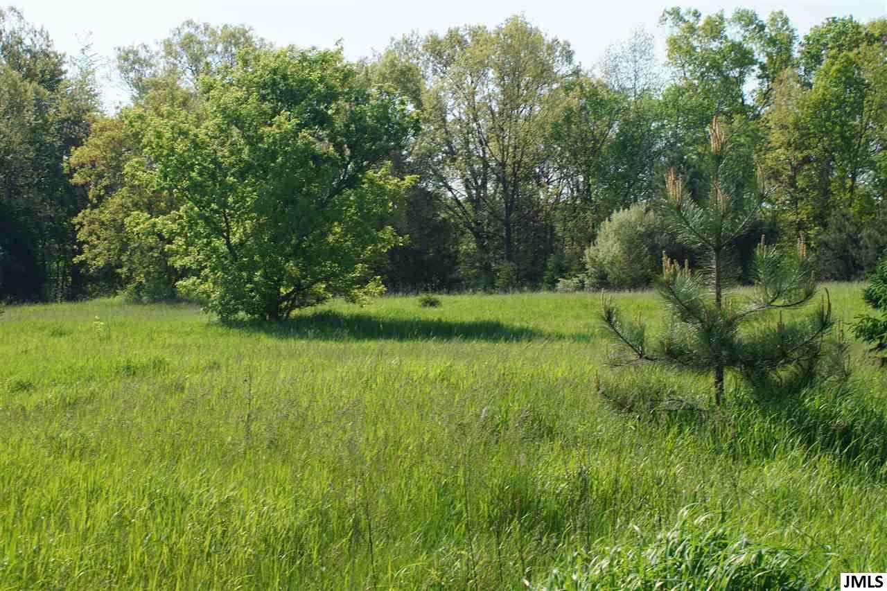 Vl Donnely Road Jackson, MI 49201 - Photo 1 of 2 Photo 1