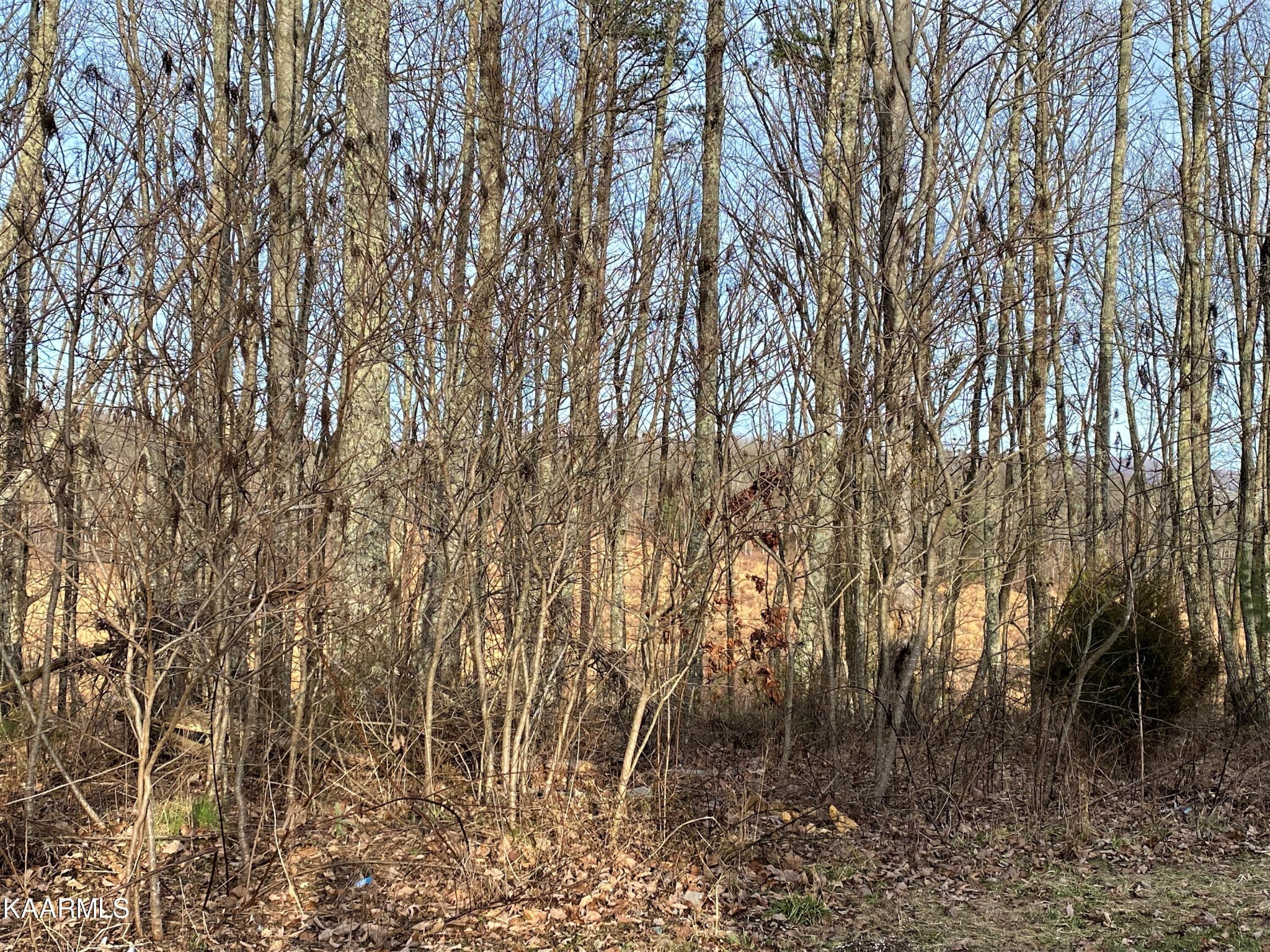 502 Manning Road Grandview, TN 37337 - Photo 29 of 37 Gallery Image 29