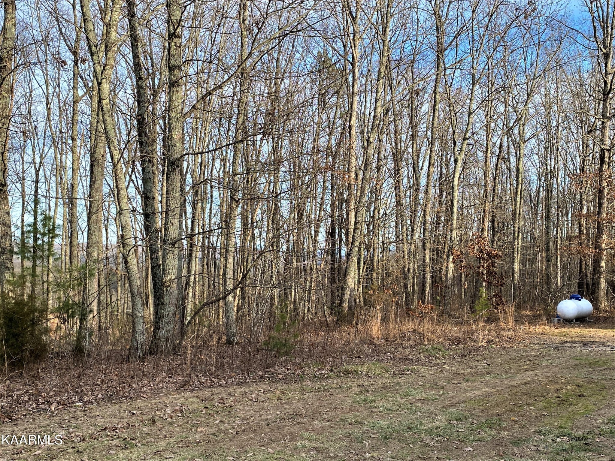 502 Manning Road Grandview, TN 37337 - Photo 35 of 37 Gallery Image 35