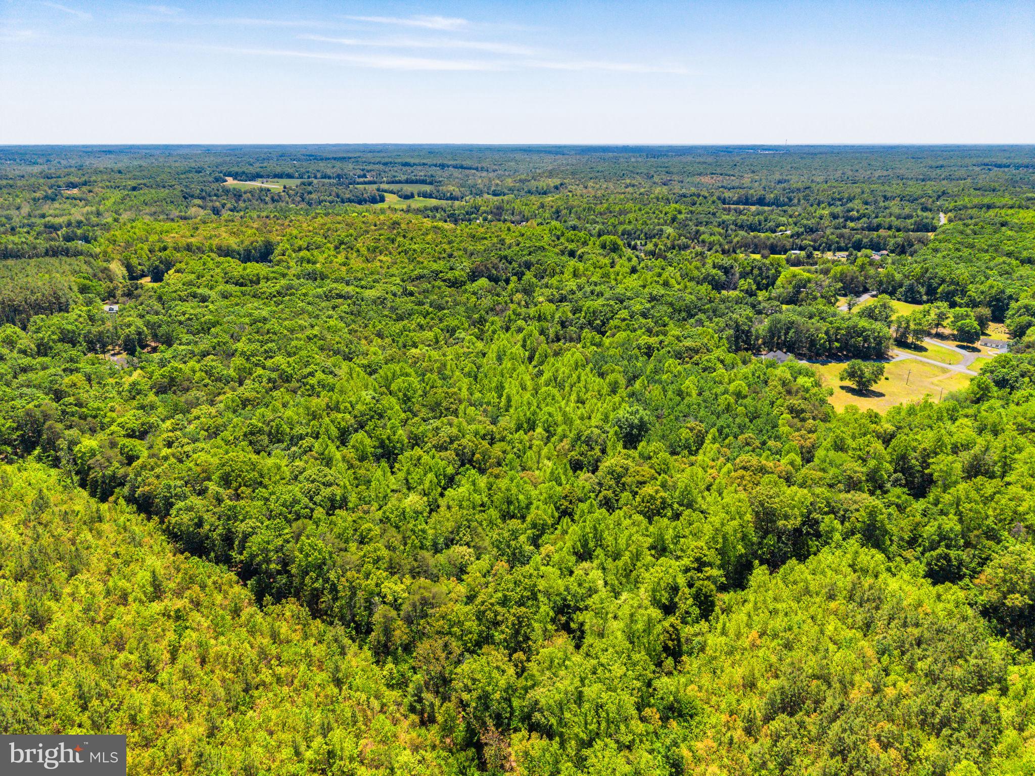 28105 Raccoon Ford Road Culpeper, VA 22701 - Photo 85 of 88
