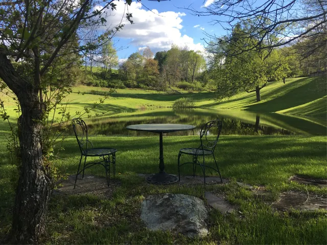 a view of a park with bench in a yard