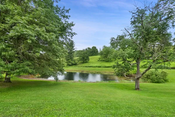 a view of a garden with a tree
