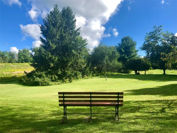 a view of a bench in the garden near a lake