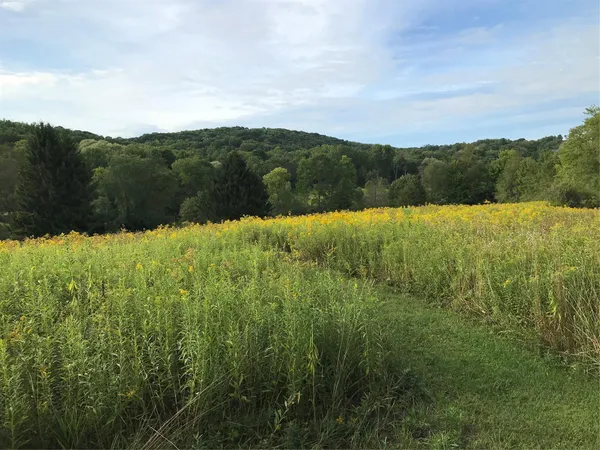 a view of lake and mountain