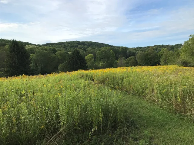 a view of lake and mountain