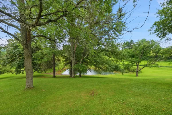 a view of green field