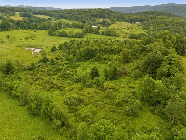 a view of a lush green hillside and houses