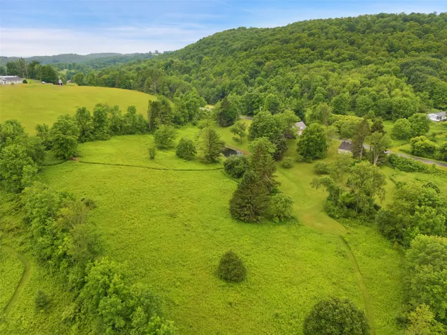 a view of an ocean from a yard